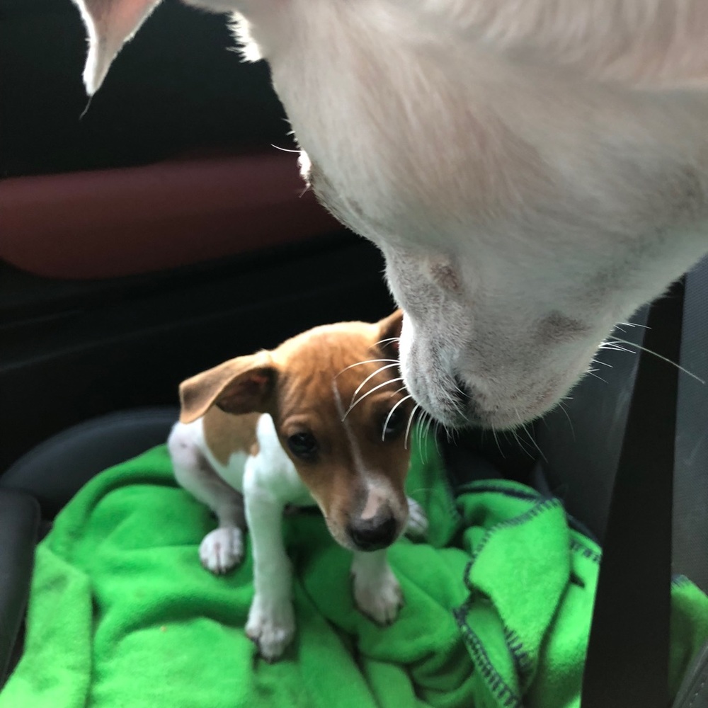 Meet your Posher, Nicole